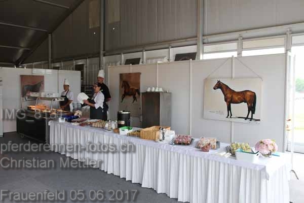 IMG 8131 prot